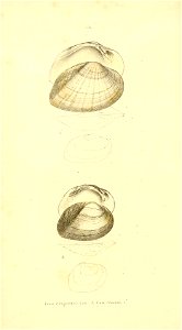 n79_w1150