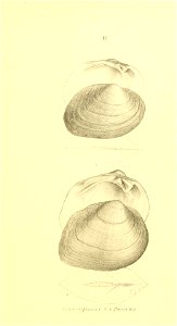 n236_w1150
