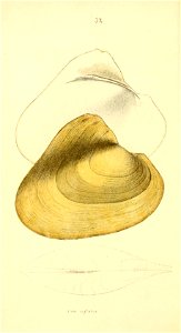 n181_w1150