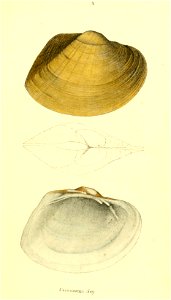 n18_w1150