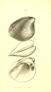 n127_w1150