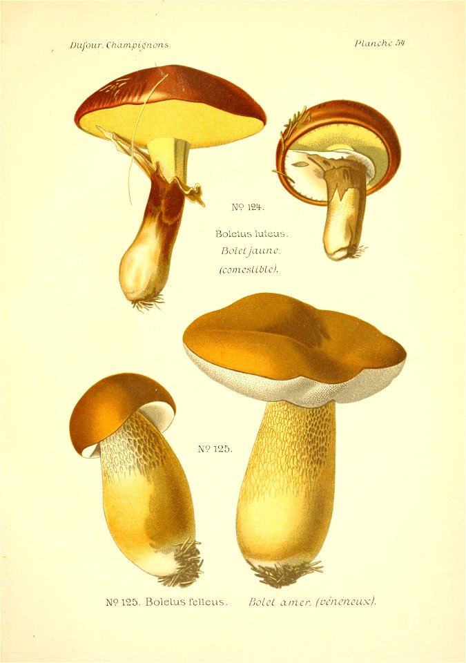 n196_w1150