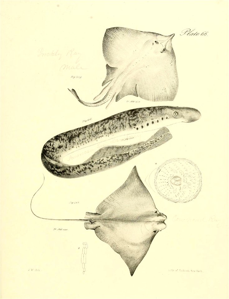 n192_w1150