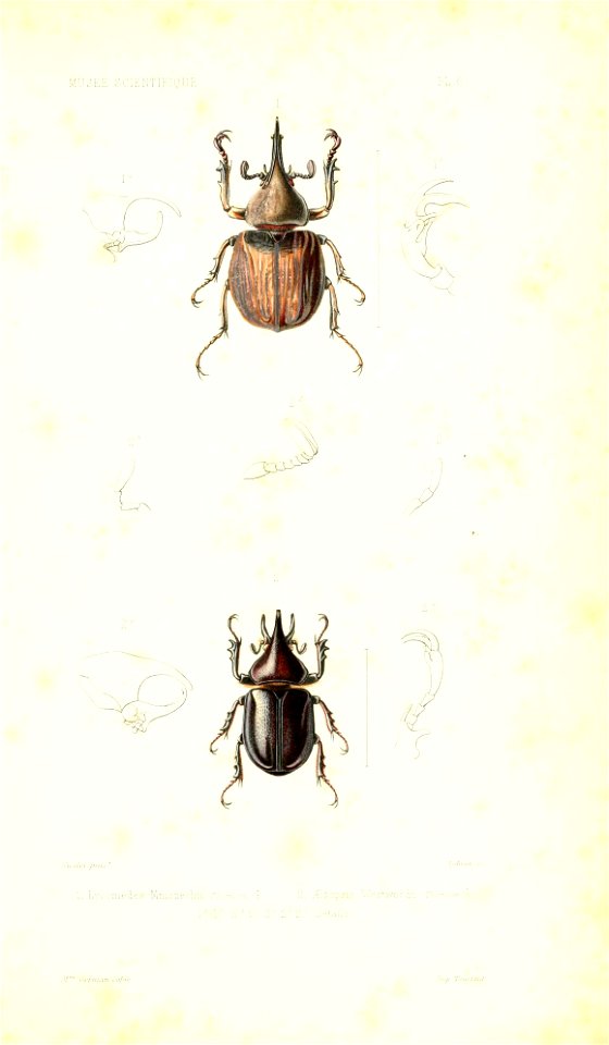 n492_w1150