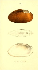 n295_w1150
