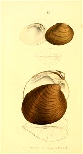 n245_w1150