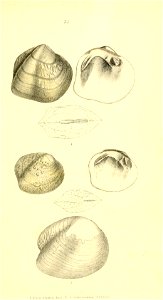 n192_w1150