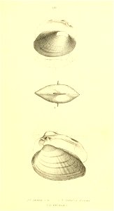 n354_w1150