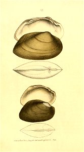 n137_w1150