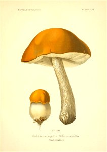 n204_w1150
