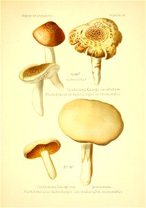n110_w1150