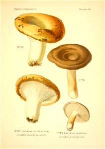 n138_w1150