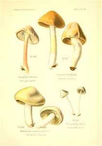 n168_w1150