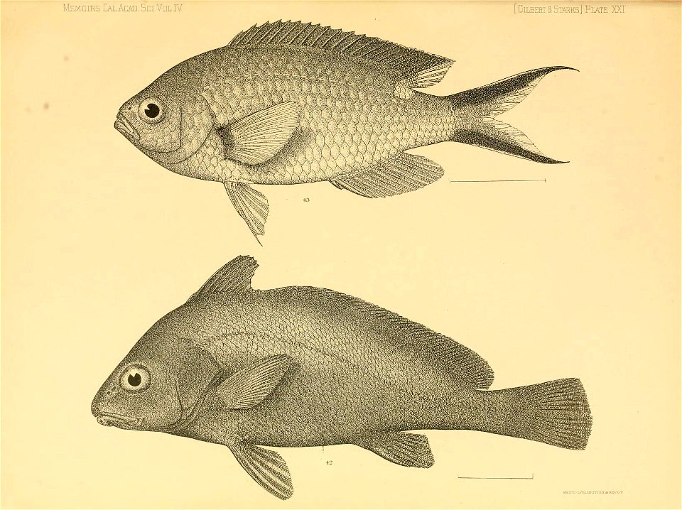 n320_w1150