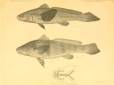 n316_w1150