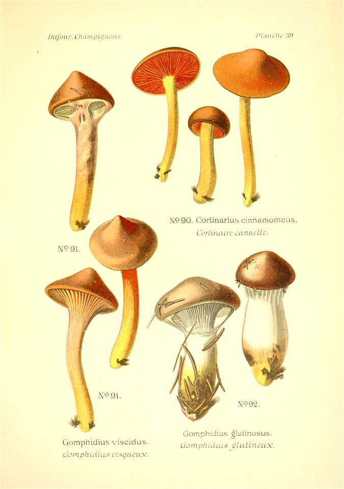 n166_w1150