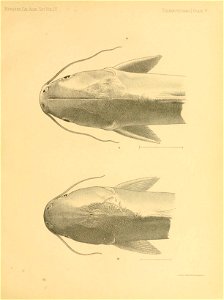 n256_w1150