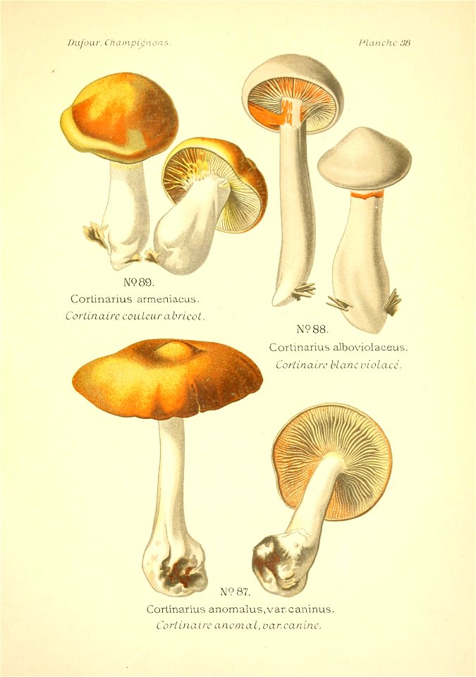 n164_w1150