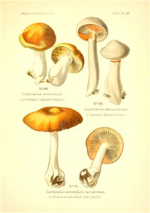 n164_w1150