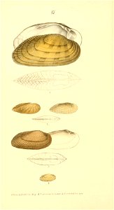 n271_w1150