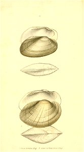n107_w1150