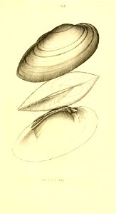 n162_w1150