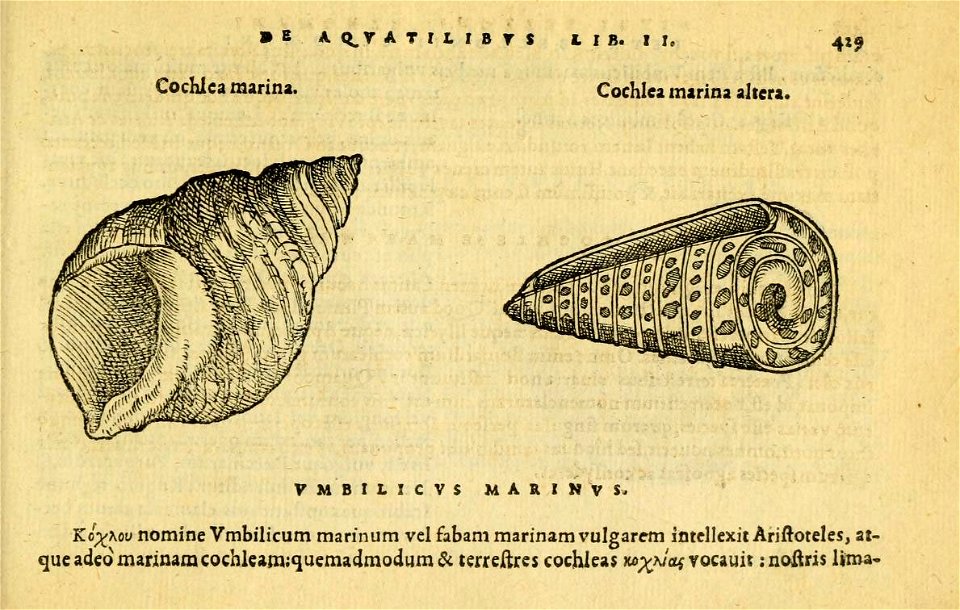 n468_w1150