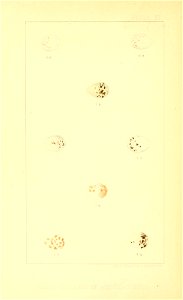 n159_w1150