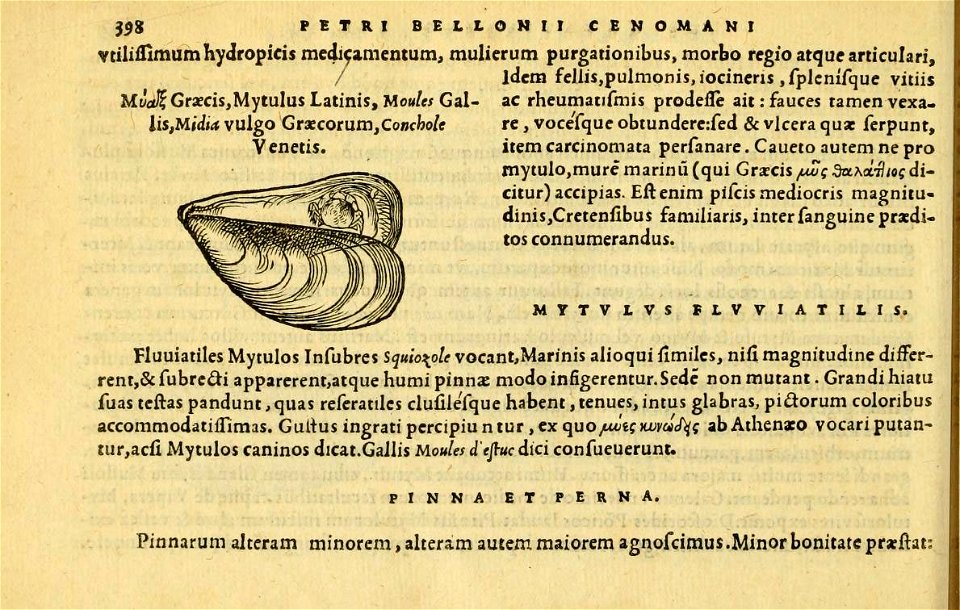 n437_w1150