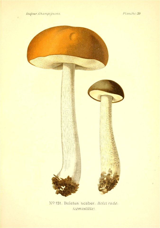 n206_w1150