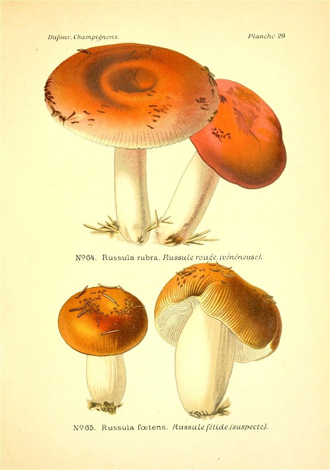n146_w1150