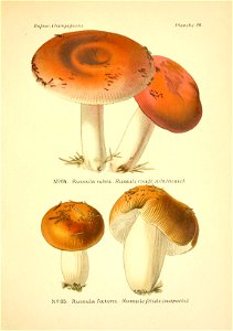 n146_w1150