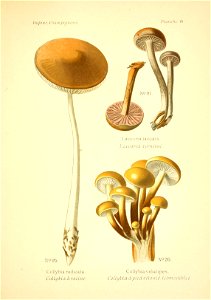 n116_w1150