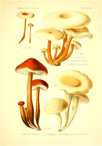 n114_w1150