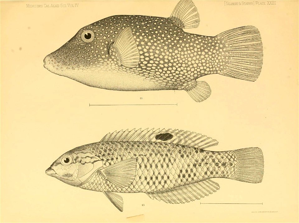 n328_w1150