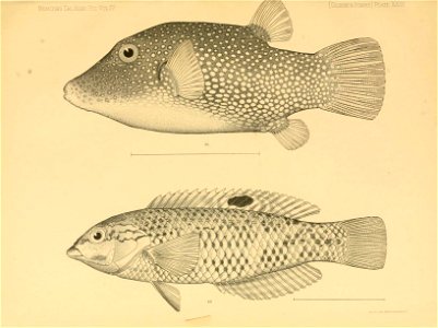 n328_w1150