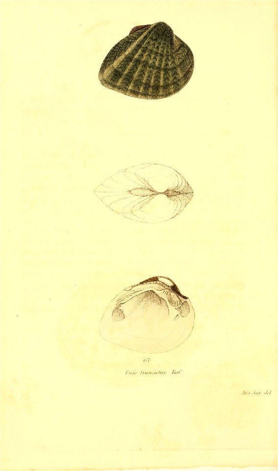 n429_w1150