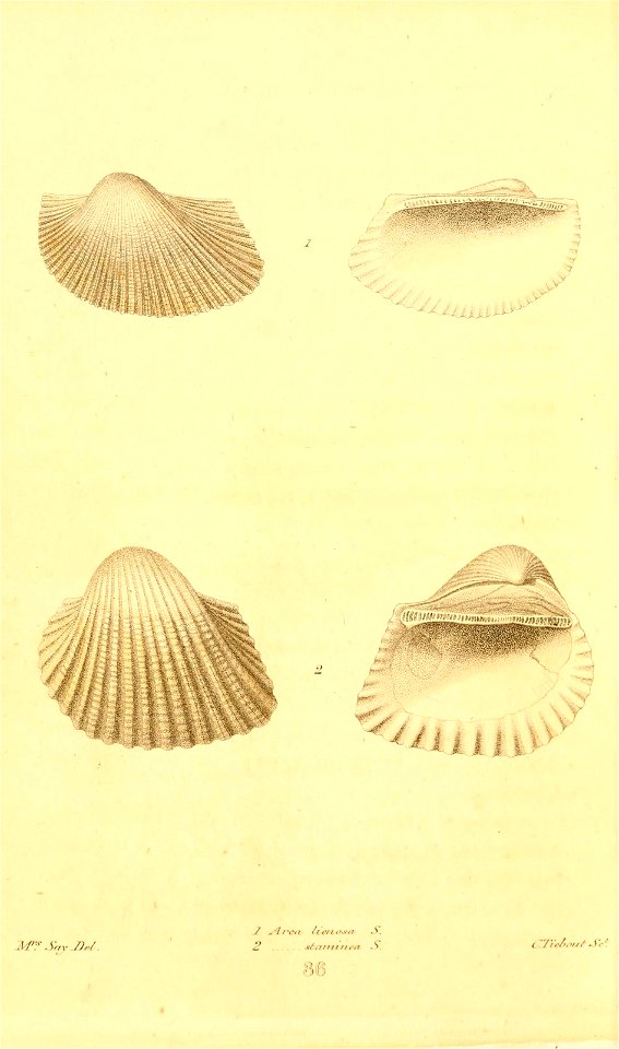 n233_w1150