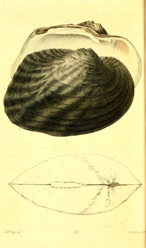 n143_w1150