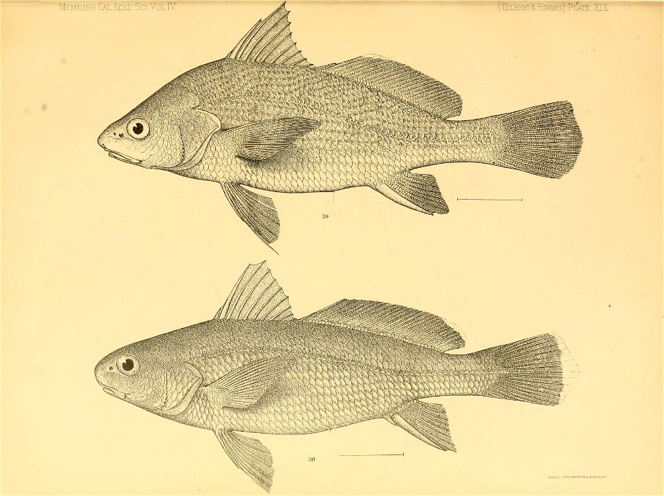 n312_w1150