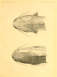 n252_w1150