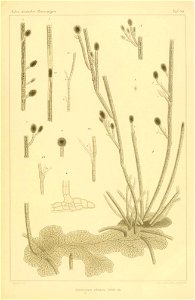 n172_w1150