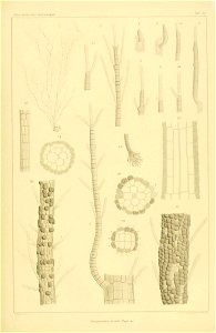 n126_w1150