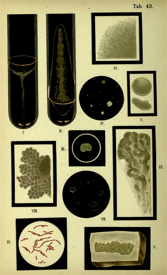 n141_w1150