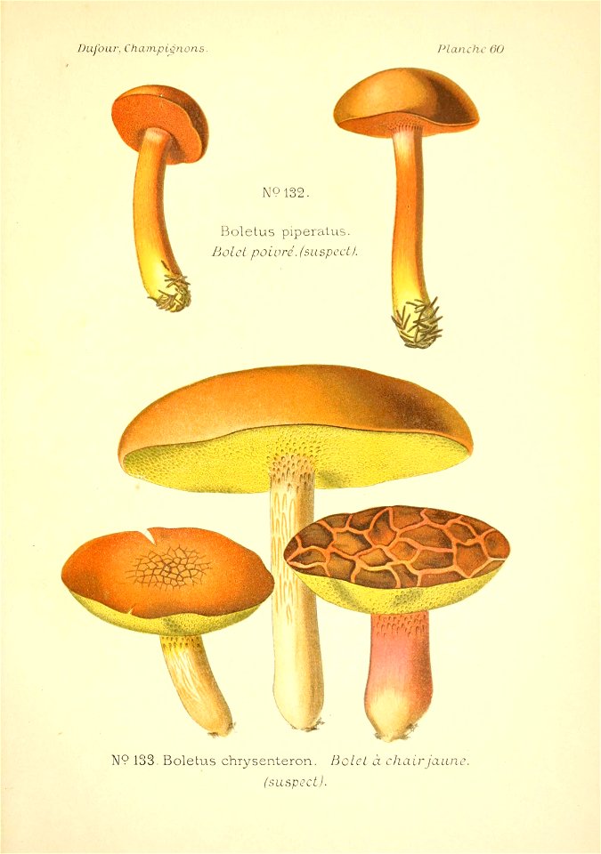 n208_w1150