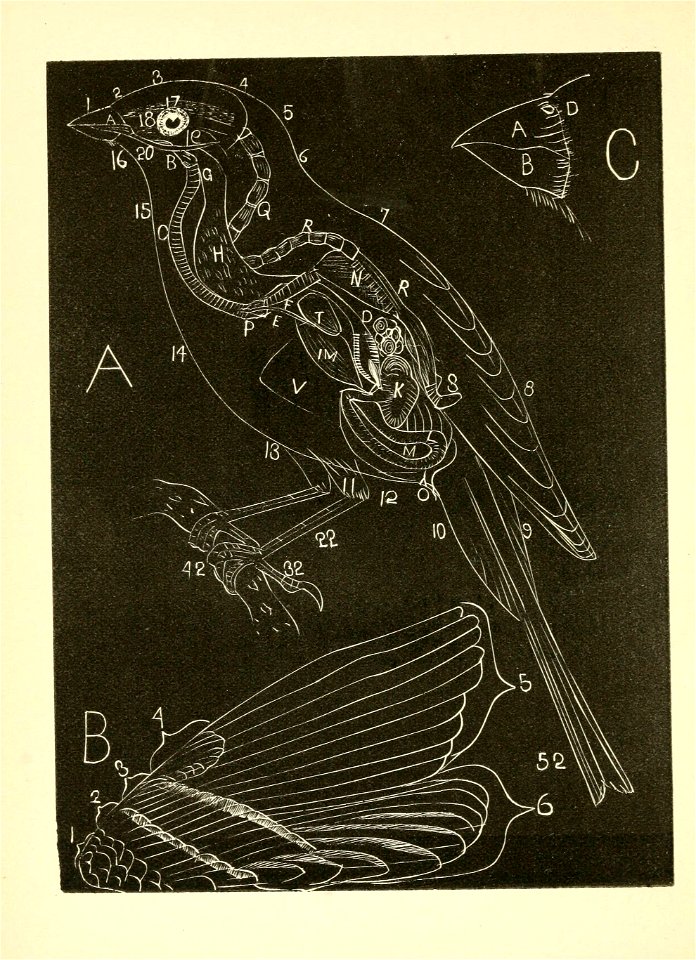 n17_w1150
