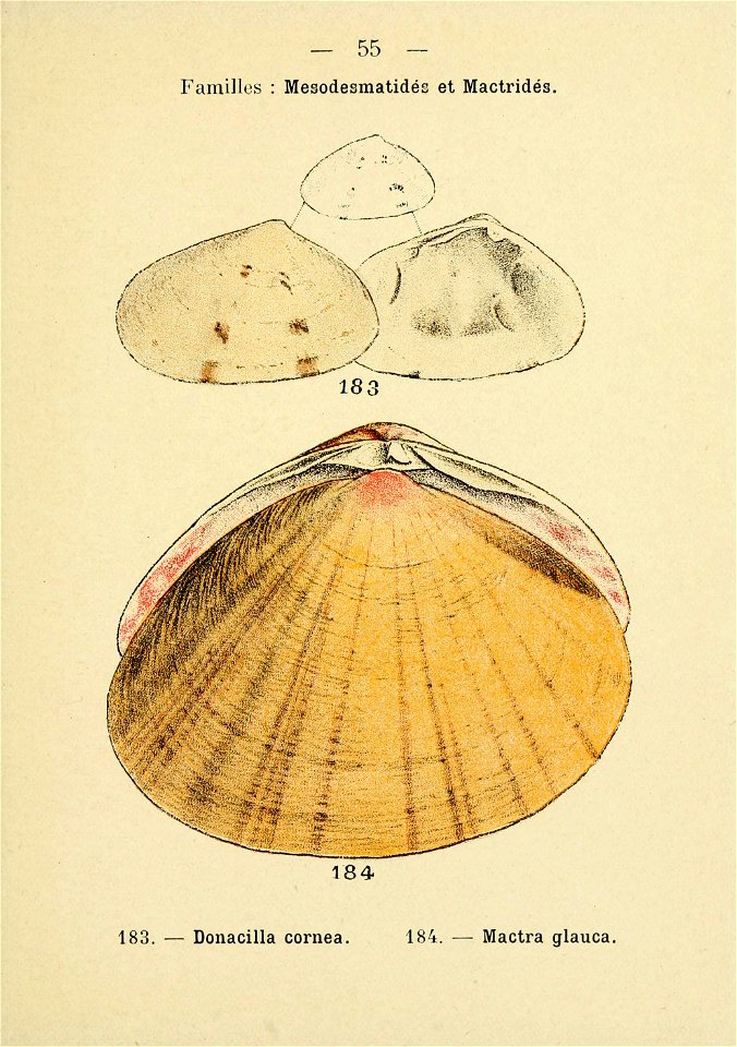 n120_w1150