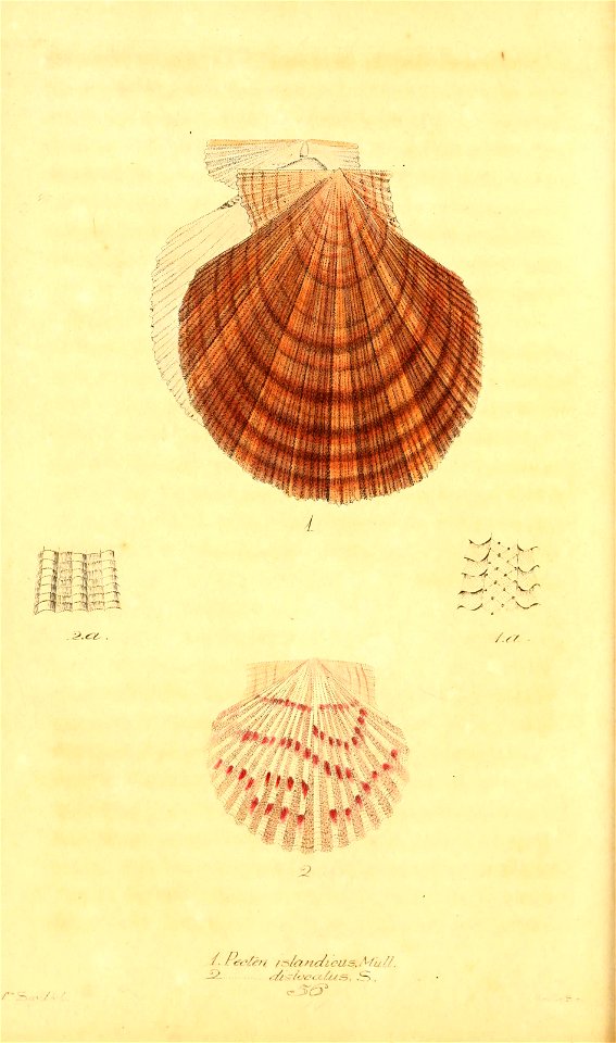 n357_w1150