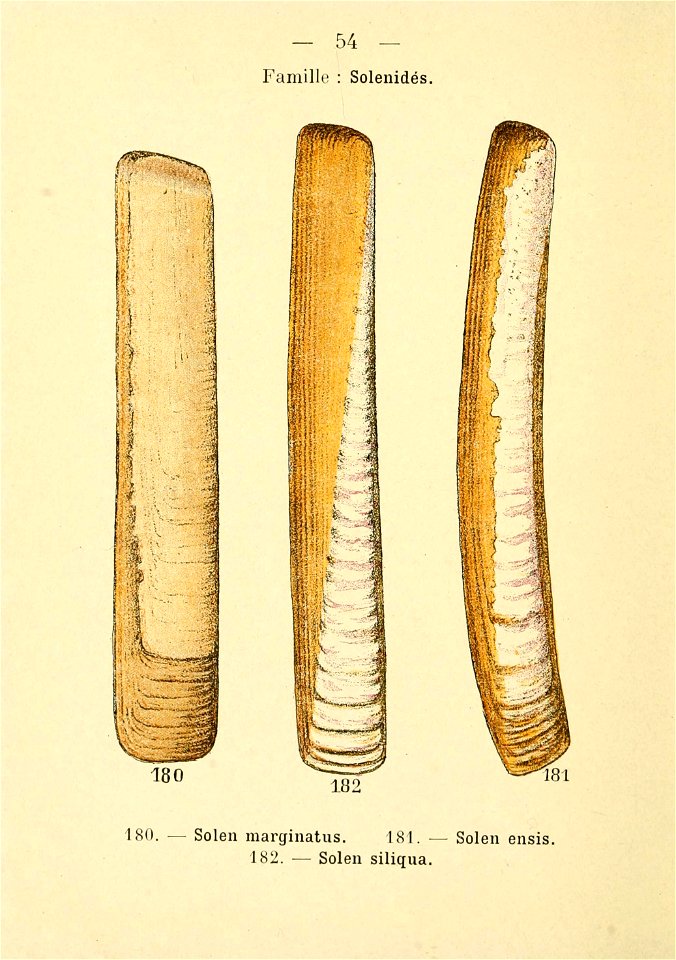 n117_w1150