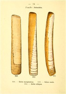 n117_w1150